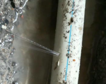 索县卫生间测漏水多少钱