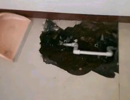 索县卫生间测漏水多少钱